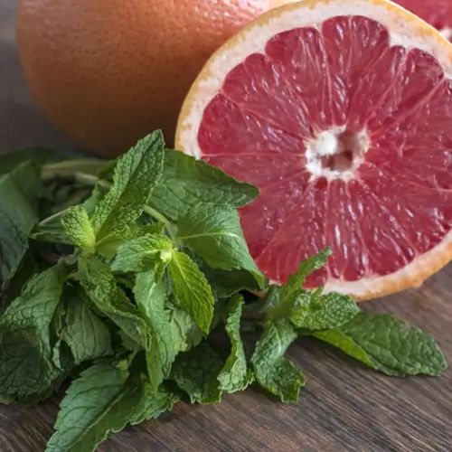 Fragancia Toronja y Menta